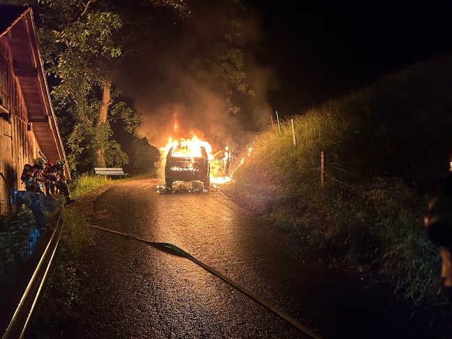 2024/23: Arth, Rufibergstrasse, Fahrzeugbrand